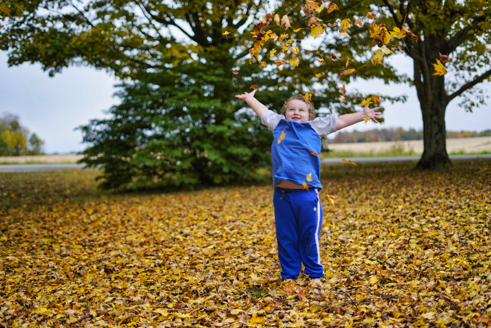 Family photography